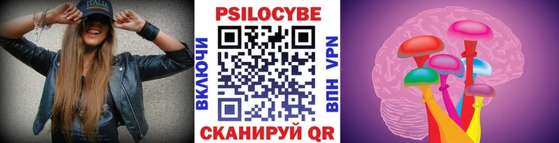 Купить где  Сланцы  Псилоцибиновые грибы Cubensis 